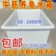 箱大号加厚牛筋塑水箱长方形852周转箱水养产殖养鱼牛筋箱推布车