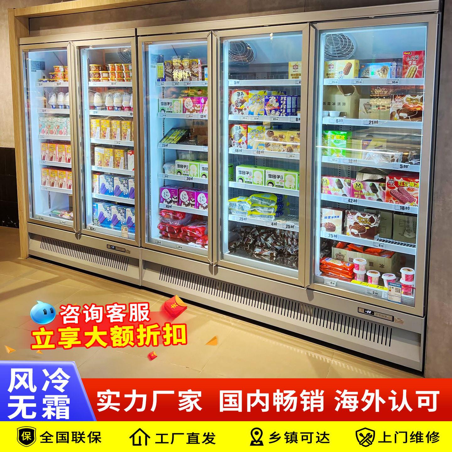双门低温冷藏展示柜 超市商用速冻柜 可用于肉类与水饺冷冻