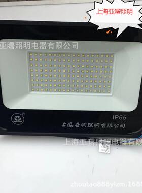 Y6109-ED00ZW投光灯具亚明照明100W泛光灯具ZY609世纪亚明ZY6L09-