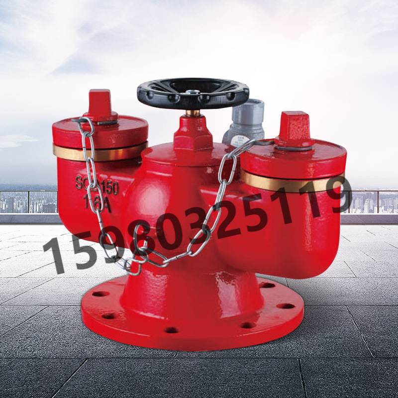 地上式新型新式水泵接合器SQD100地上多用式25公斤外贸出口