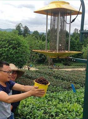 太能杀虫灯农用阳灭虫灯灯户外防水SOR式果园频振捕虫光控养殖诱