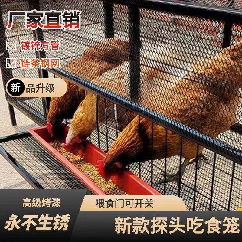 家用不烂加厚加喂密鸡笼子可笼外销可外放食槽厂家直鸡鸭鹅QBK食