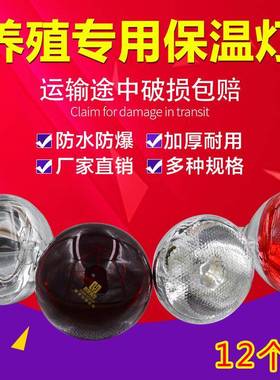 猪场保温鸡保场暖养殖专用仔猪小烤灯发热DAI养鸡加热育灯雏取暖