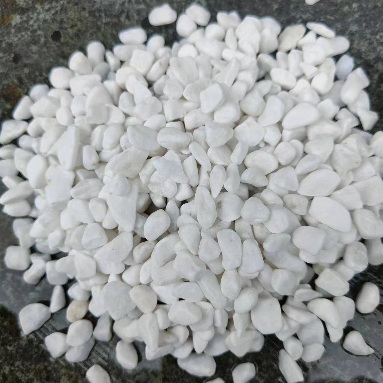 然白石子鹅卵石白石铺头汉白彩石园艺SGR盆栽石头多肉面庭天院玉