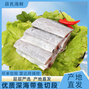 带鱼四指宽冷冻带鱼段无冰特大号中段新鲜冷冻三指深海小眼刀鱼