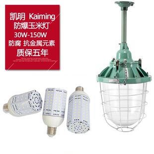 免维护防爆玉米灯led螺纹口e27 30w 40w 50w 360度发光锅炉房灯具