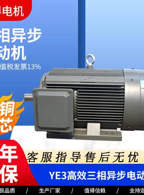 YE3-280M-2-90kw三相异步电动机YE3系列2极三相异步电机厂家