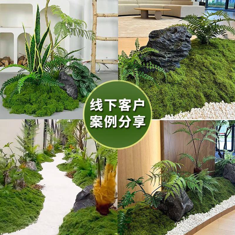 仿丝状藓苔人造草LCC羊毛藓植物微景观布置假坪山盆栽造真景跨境