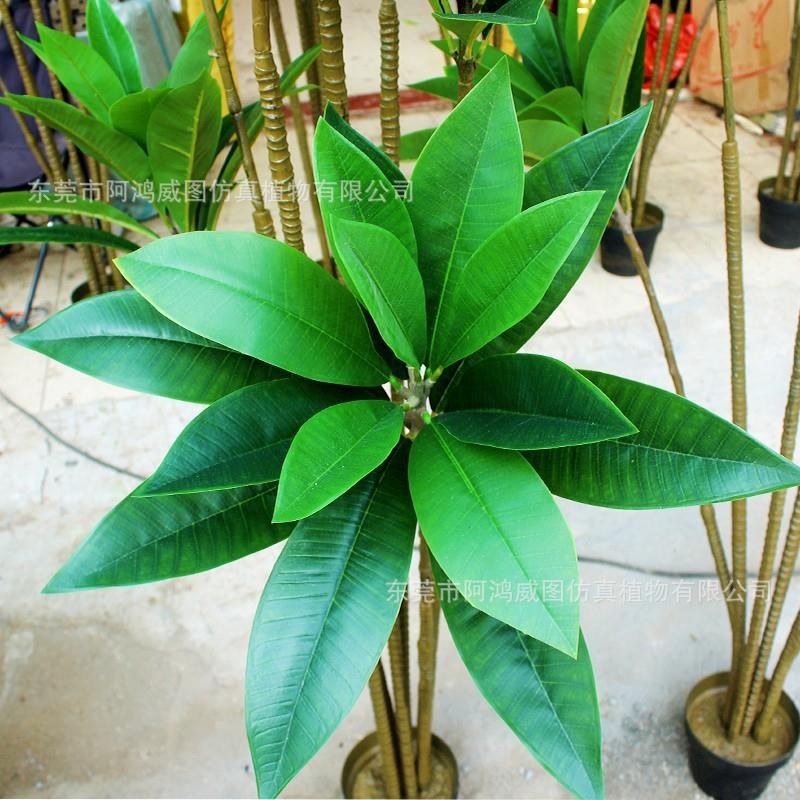 仿生真绿植摆鸡蛋仿真鸡蛋花饰树盆栽室内外小型仿真大花仿真植物