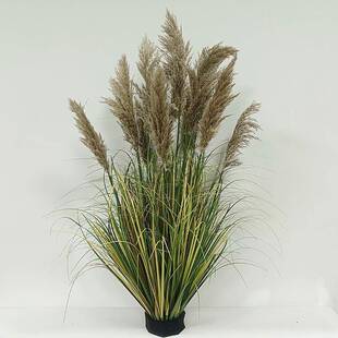 仿仿真蕾丝真植场物芦苇草假草酒商场店橱窗摆件绿植芦柴花假露营