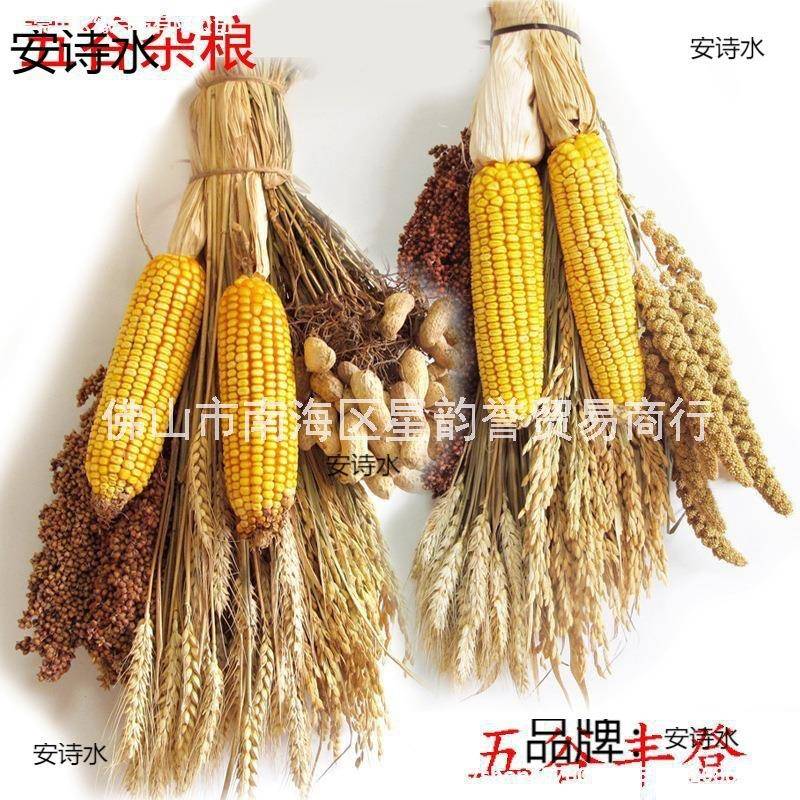谷穗挂术件水稻米穗玉棒子橱窗门艺插XhcMTMMH花墙面农作物五谷丰