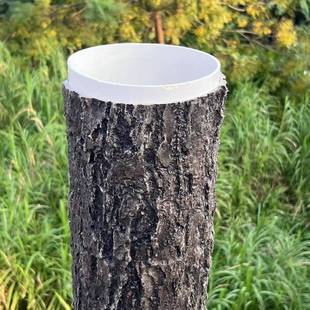 真MLM松仿树皮包下水管道柱子墙面贴假树皮装园林饰景观美化防水