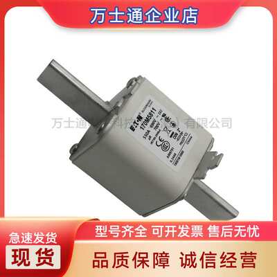 170M3814 170M3815 170M3816 170M3817 170M3818 170M3819熔断器