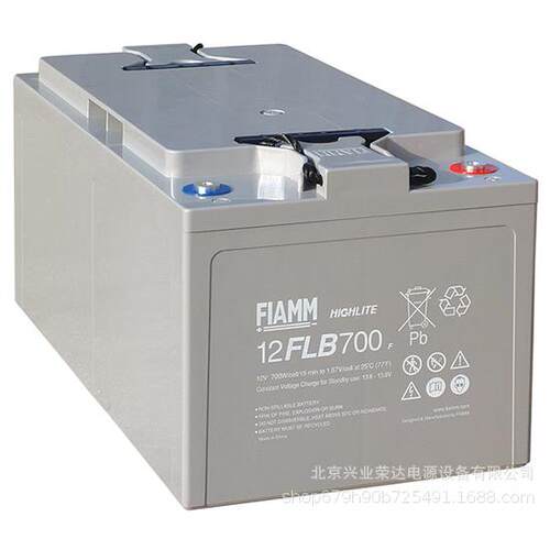 非凡FIAMM蓄电池12FLB350/12V90AH型号12FLB400/12V100AH铅酸电池