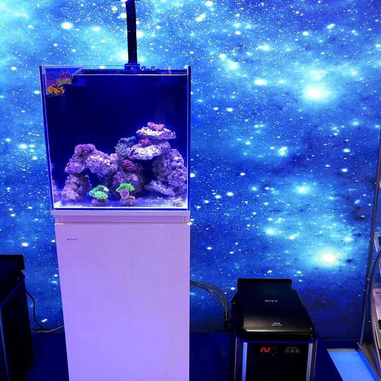 博宇冷水机LS水族箱降温机鱼缸制冷器淡水海水鱼冷暖水机制冷