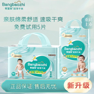 装 尿不湿不闷热 XXL 学步裤 帮宝智正品 XXXL大码 纸尿裤