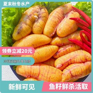 新鲜淡水鲈鱼籽鱼籽鱼泡鱼鱼白蛋鱼卵鲤鱼籽纯鲈鱼籽速冻黄花鱼籽
