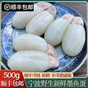 顺丰舟山无盐大墨鱼蛋500g乌贼蛋卵全淡新鲜乌鱼蛋带膏目鱼蛋