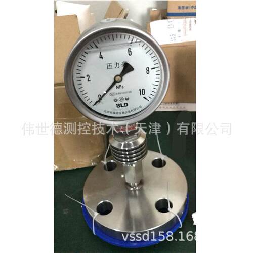 布莱迪BLD耐高温360℃隔膜压力表PYTHN-100.AO配套R1散热器原厂供