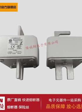 熔断器170M3063 170M3064 170M3065 170M3066 170M3067 170M3068