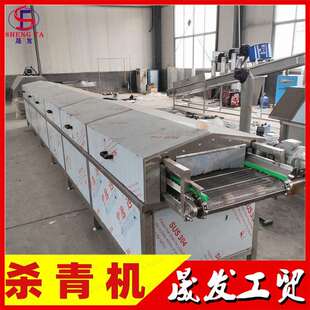全自动莲藕漂烫杀清设备 水浴式油菜杀青机 豆角蒸煮漂烫流水线