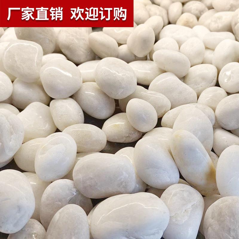 白色鹅卵石头铺地雨花石原石子天然鱼缸底部户外庭院小石头