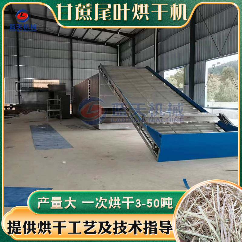 甘蔗尾叶烘干机 连续式甘蔗叶分层干燥机 全自动蔗尾甜竹叶哄干机
