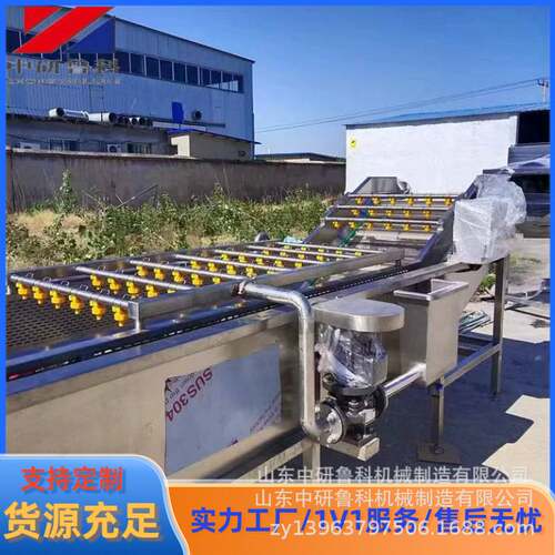 蓝莓脐橙气泡清洗机 果蔬加工大型洗果机 全自动臭氧去农残洗菜机