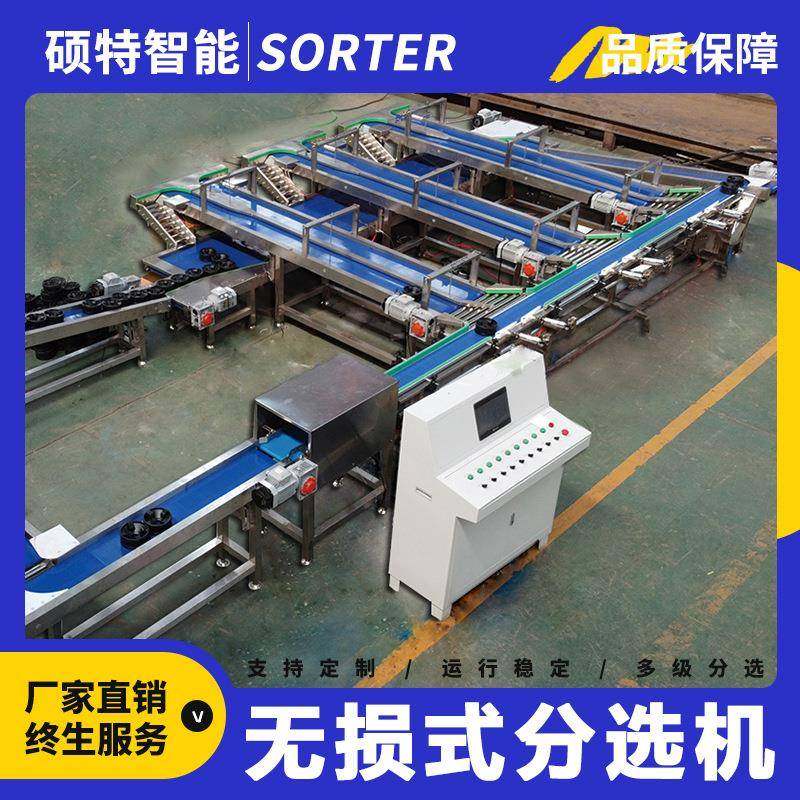 西瓜无损检测称重分选机 苹果测糖分拣机 菠萝果托呵护重量选果机