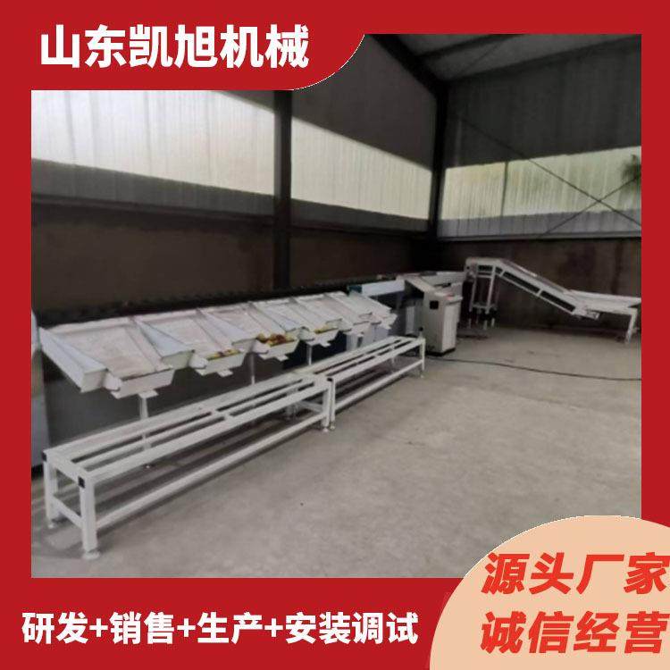 全自动桃子无花果重量筛选分果机 猕猴桃柠檬小型选果机设备厂家