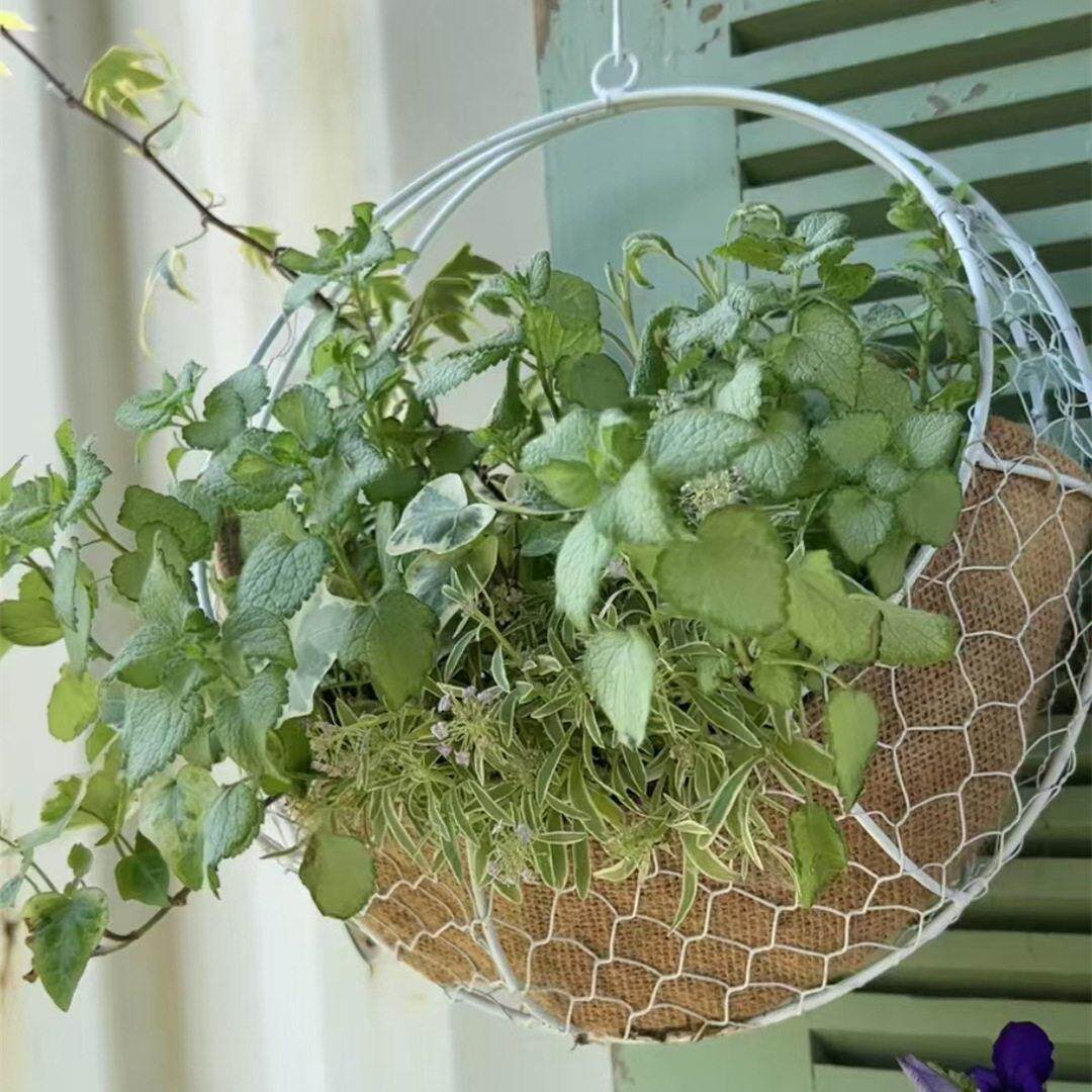 园艺杂货 花园庭院装饰摆件手工铁丝编织半月花篮花盆掉盆