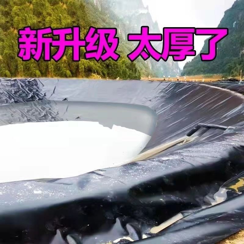 HDPE鱼塘防渗膜鱼池护坡防水土工膜养殖专用黑地膜水池储水塑料布
