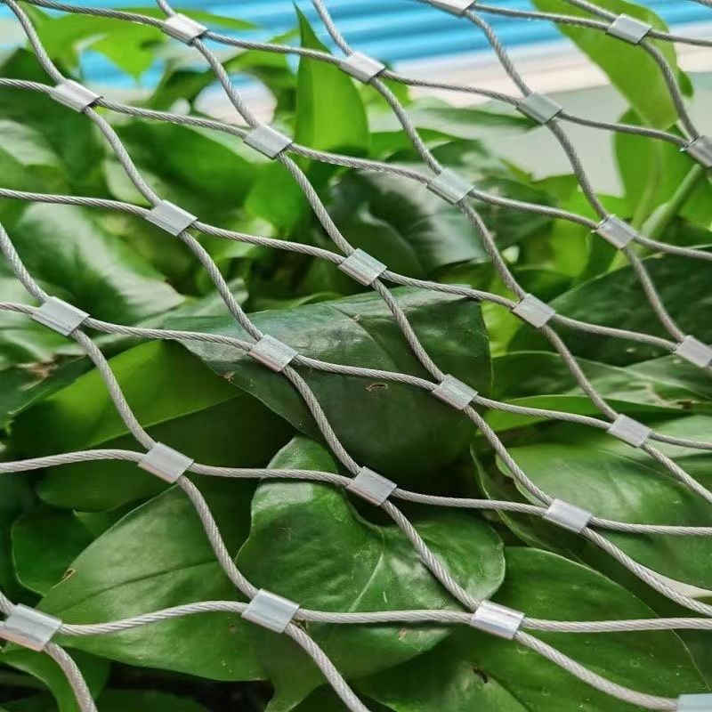 304不锈钢绳网高空隐形防抛物坠物防护网阳台植物防护网钢丝绳网