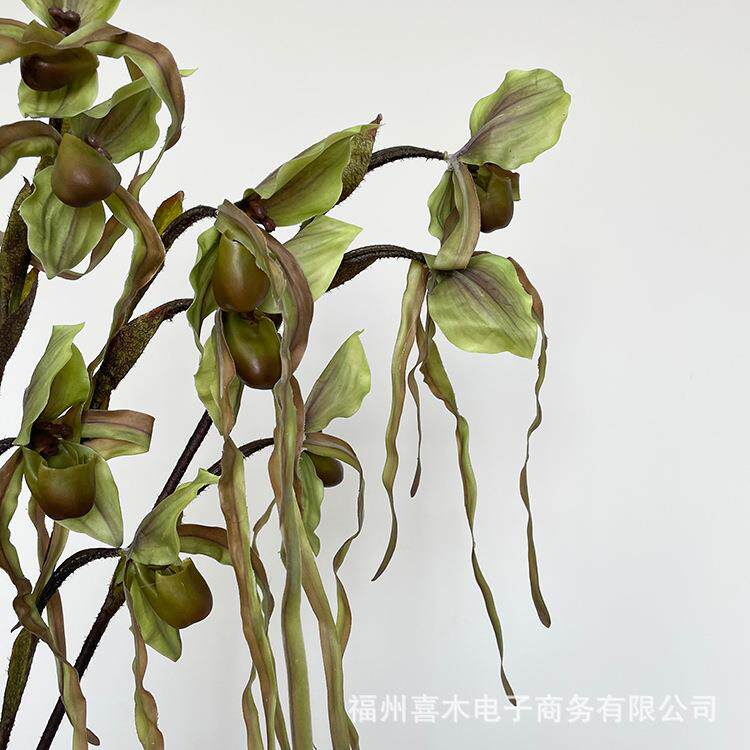 奇花异草 仿真高品质兜兰 现代风花艺设计 拍照道具 落地仿真植物图片
