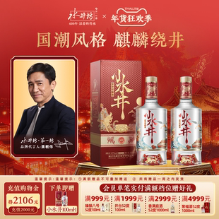 【梁朝伟首选白酒】水井坊小水井52度500ml*2瓶浓香型小酌粮食酒