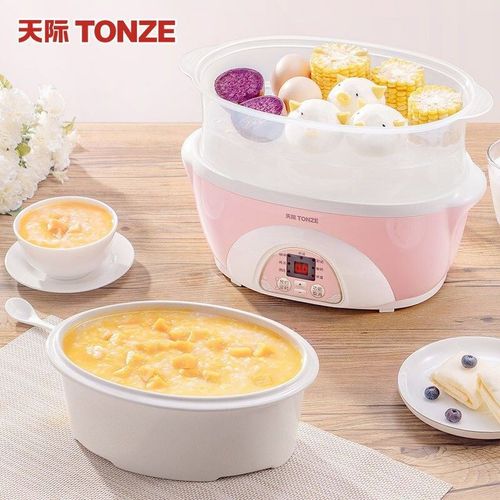 天际(TONZE)电炖锅隔水炖 煮粥煲汤1锅3胆DDZ-16BW 1.6L其它紫砂