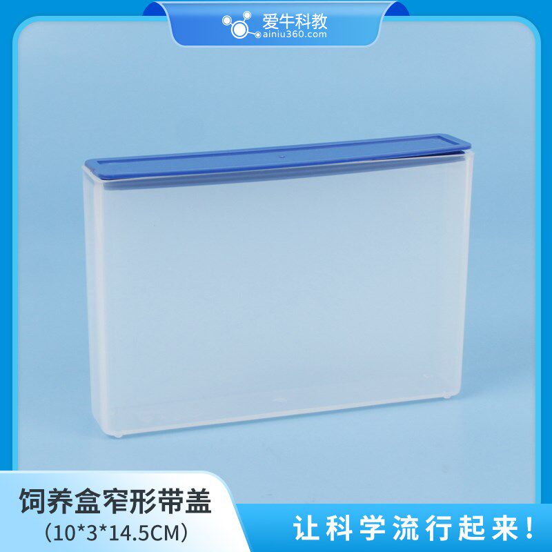 小学科学塑料饲养盒窄形带盖用于蚯蚓的观察饲养。