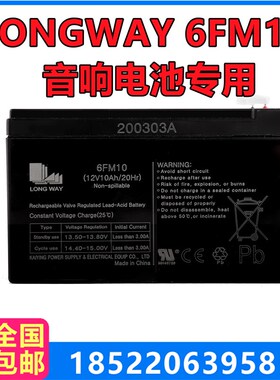 LONGWAY 龙威电瓶6FM10 (12V10Ah/20Hr) 音响儿童电动汽车蓄电池