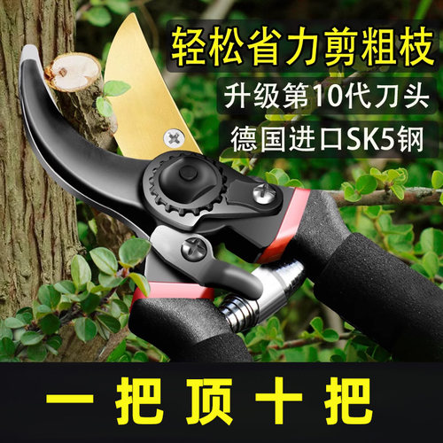 德国精工园艺剪刀剪树枝专用剪刀修枝剪园林果树修花家用sk5剪子