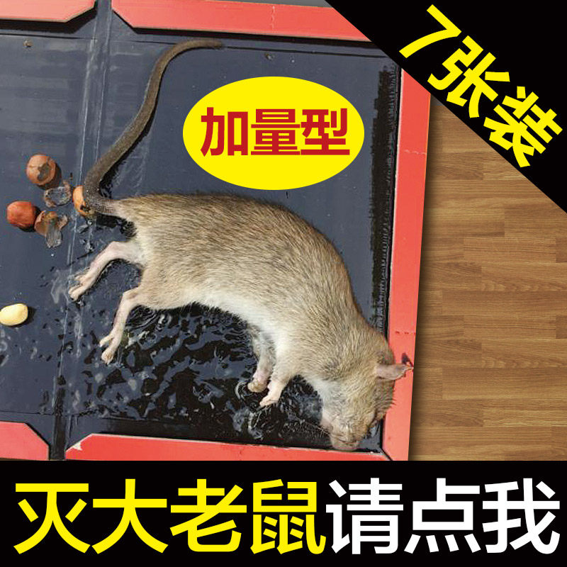 老鼠贴超强力粘鼠板鼠毯粘老鼠纸黏鼠板超强老鼠夹捕鼠器家用耗子