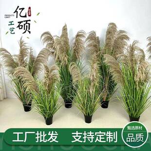 仿真芦苇盆栽婚庆网红室内摆件道具家居装饰品仿真狗尾草造景装饰
