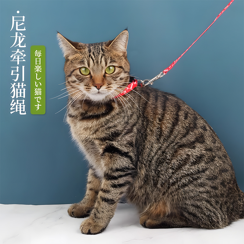 猫咪牵引绳防挣脱遛猫绳防挣脱