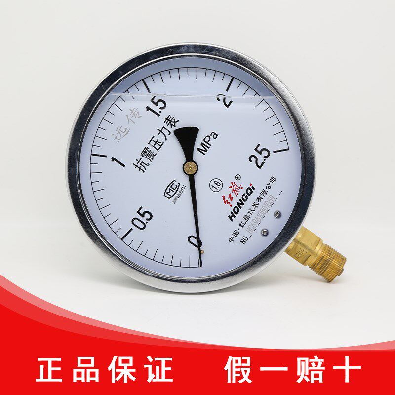 红旗仪表厂家直销YTZN-150抗震远传压力表自来水泵电阻开关变频器