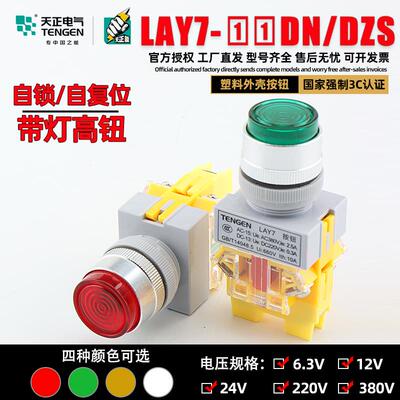 天正电气带灯按钮开关LAY
