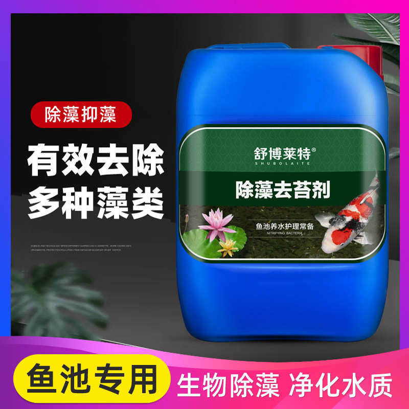 鱼塘除藻剂青苔清除剂除绿水褐藻绿藻黑毛藻净化剂室外养鱼池去苔