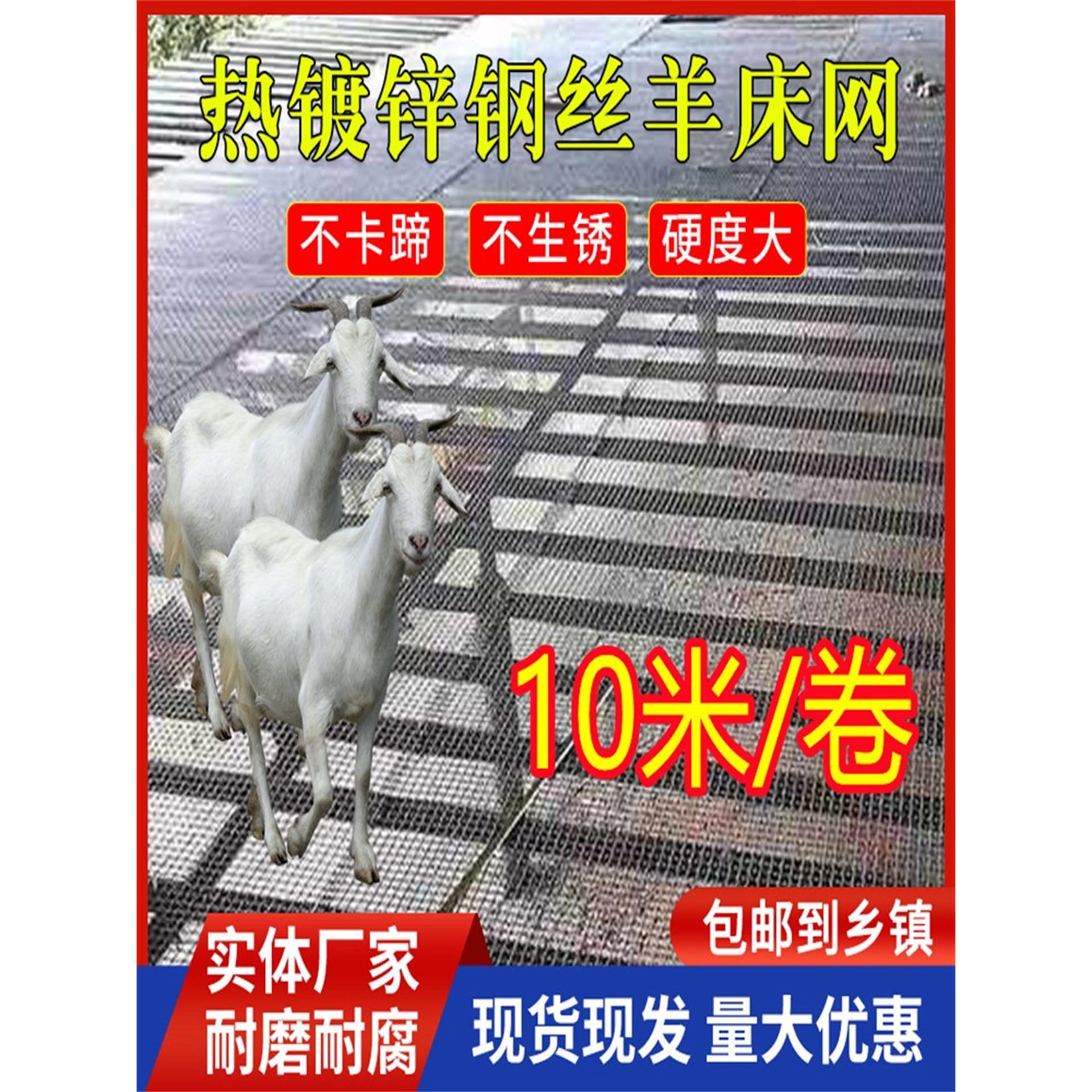 热镀锌钢丝网网漏粪板羊养殖网围栏狗笼圈防护网刚丝网格栅