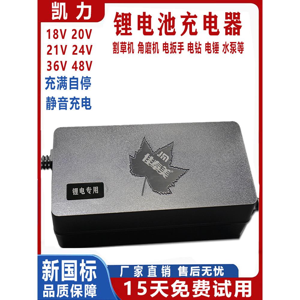 锂电池充电器48V2A电动车割草机轮椅专用24V3A原装佳奉美21V36V快