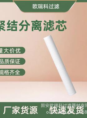 供应替代RT40B16G20NN聚结分离滤芯RT40B16G20NN