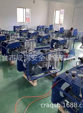 空气呼吸气瓶充气泵10器0L20L300030L4000L30M压PA高充填泵