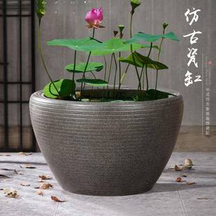 陶瓷鱼缸缸古生养态鱼阳台小水池庭院老式大水缸大法号睡QQRQTFKE